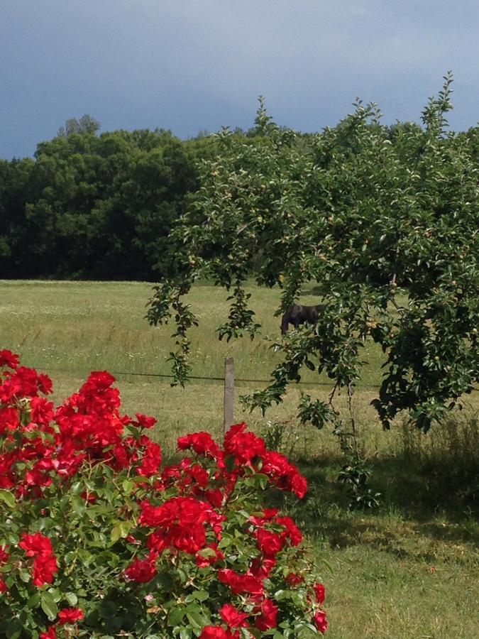 Gites De La Croix Du Gres (Adults Only) Valaurie Zewnętrze zdjęcie